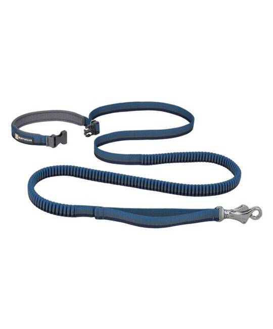 Leashes