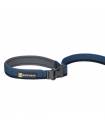 Leashes