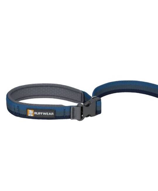 Leashes