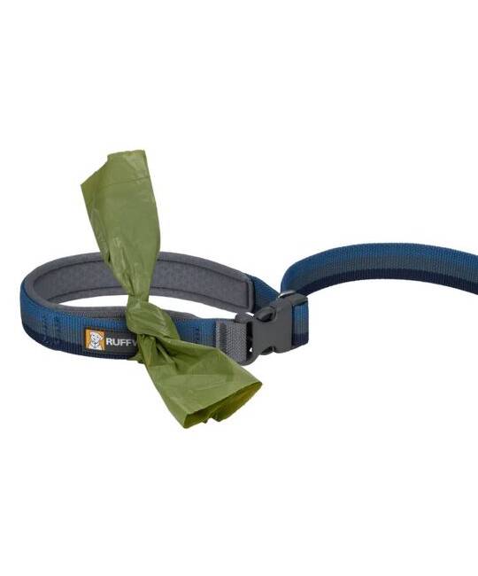 Leashes