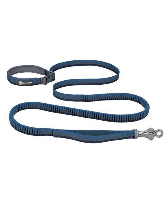 Leashes