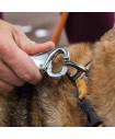 Leashes