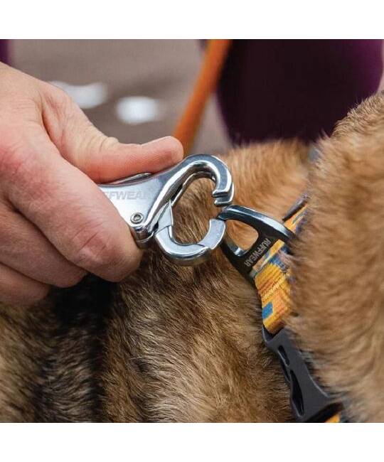 Leashes