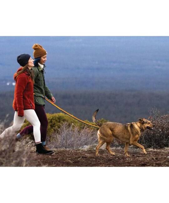 Leashes