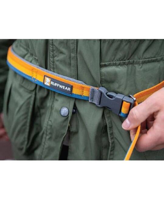 Leashes