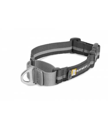 Web Reaction™ Martingale Dog Collar with Buckle