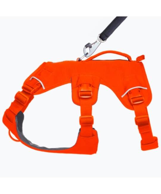Harnesses