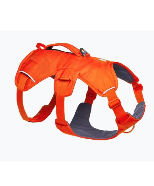Harnesses
