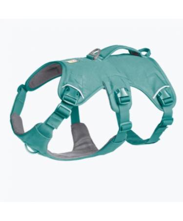 Web Master™ Dog Harness with neck buckle and handle (NEW Design)