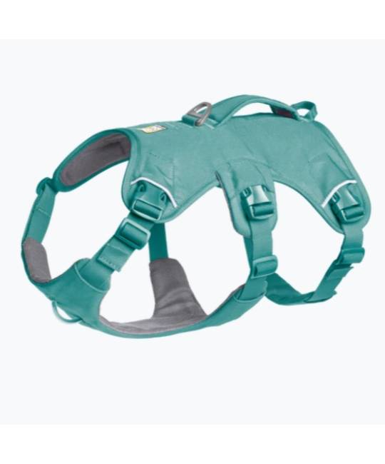 Harnesses