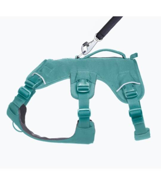 Harnesses
