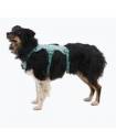 Harnesses
