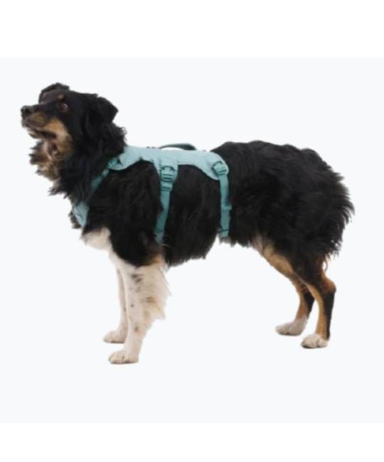Harnesses
