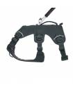 Harnesses
