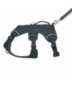 Harnesses