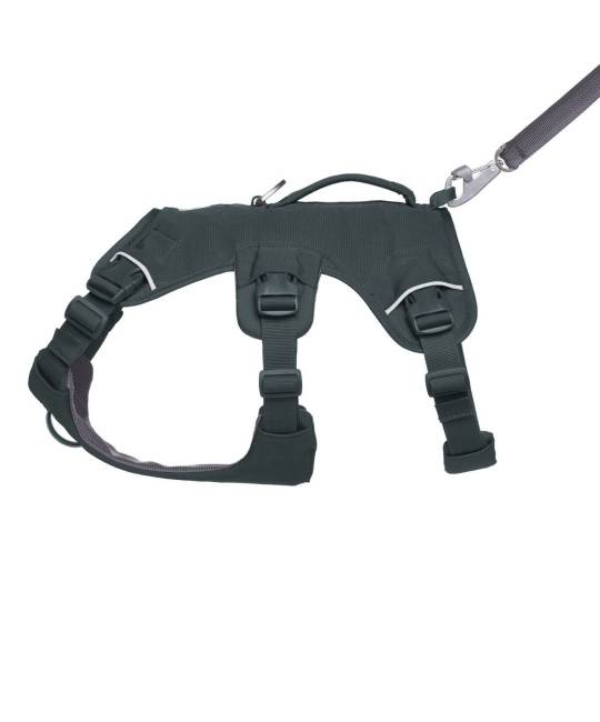 Harnesses