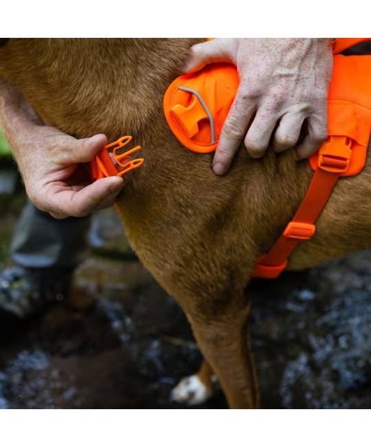 Harnesses
