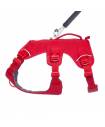 Harnesses