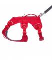 Harnesses