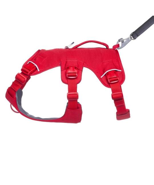 Harnesses