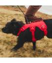 Harnesses