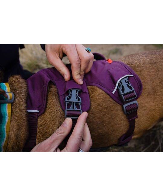 Harnesses