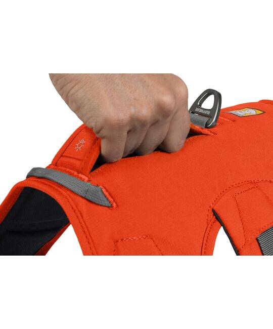 Harnesses