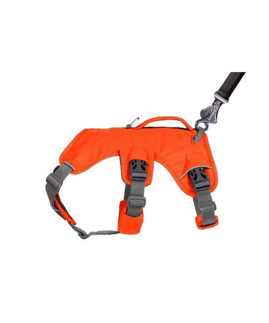 Harnesses