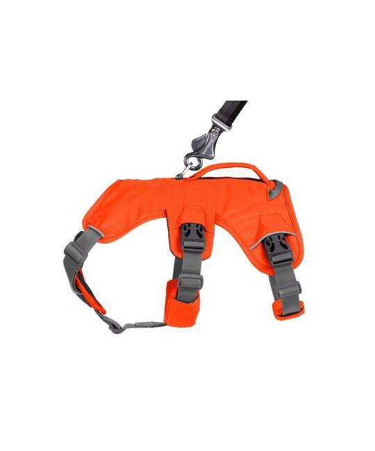 Harnesses