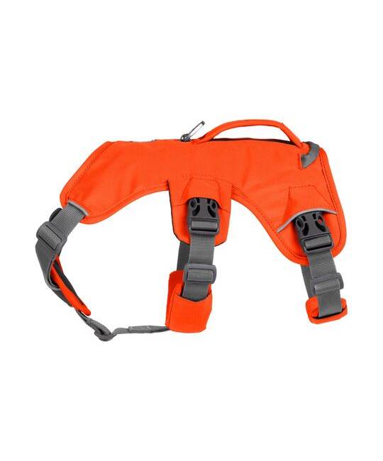 Harnesses