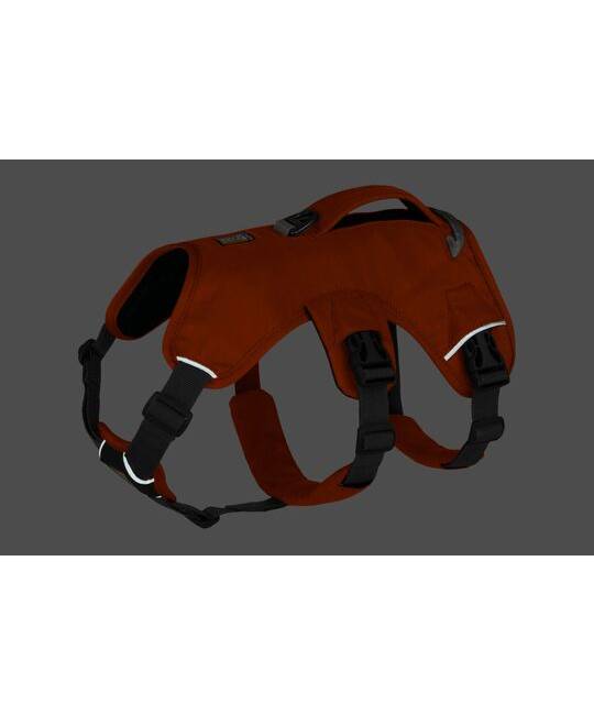 Harnesses