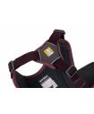 Harnesses