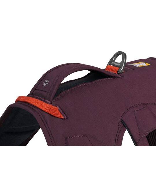 Harnesses