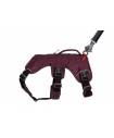 Harnesses