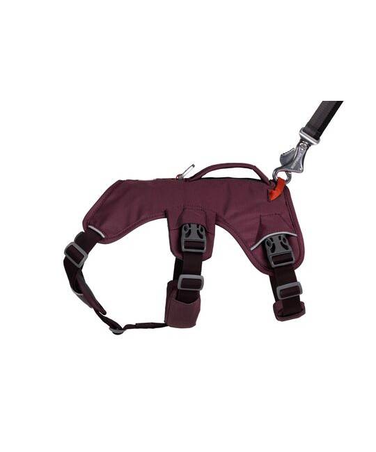 Harnesses