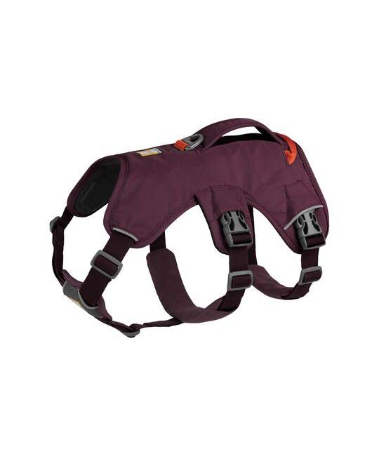 Harnesses