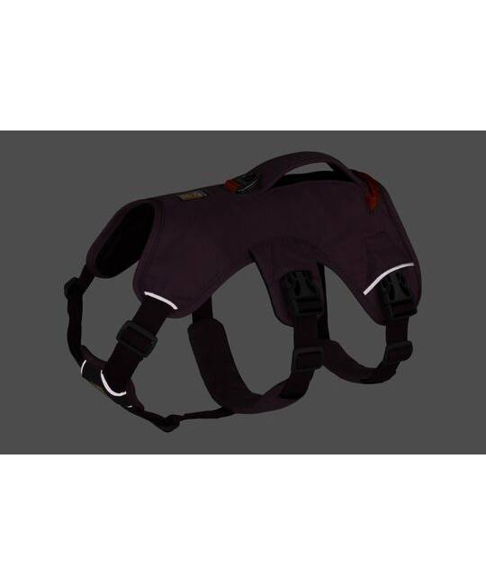 Harnesses