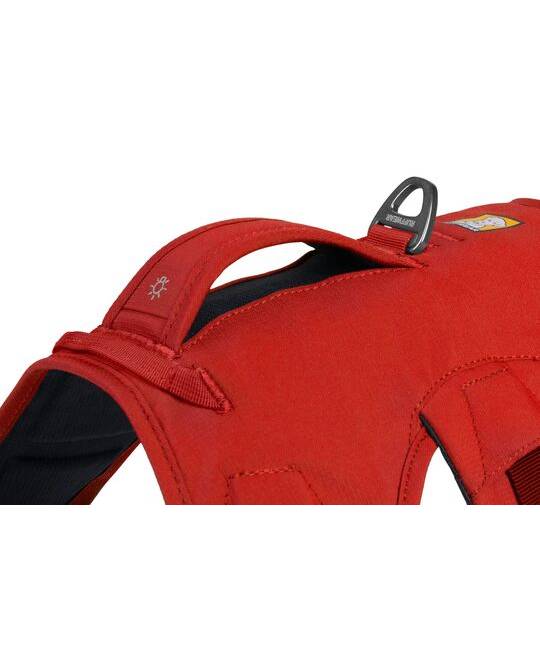 Harnesses