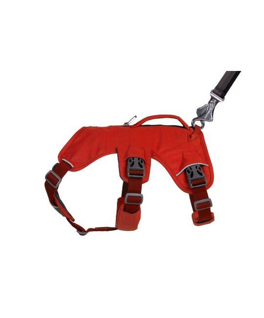 Harnesses