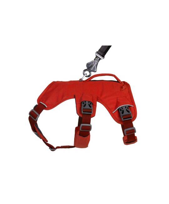 Harnesses