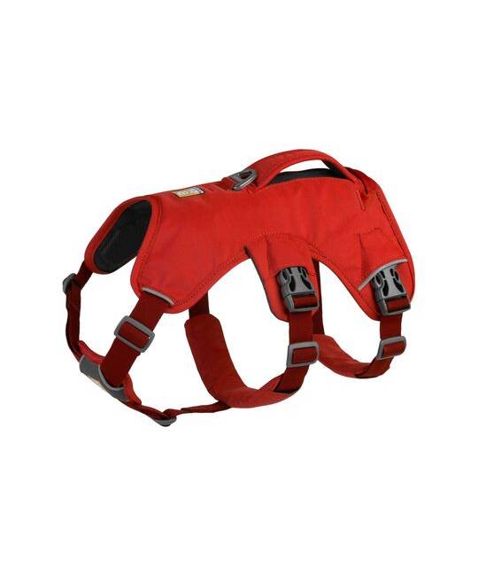 Harnesses