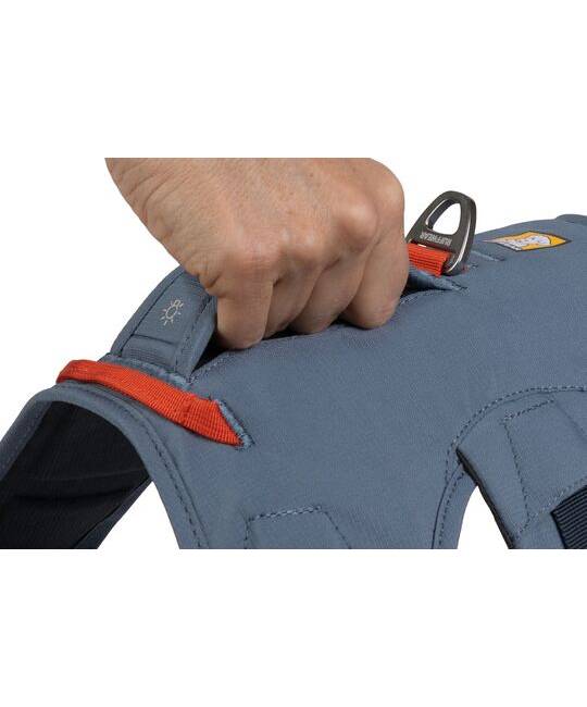 Harnesses