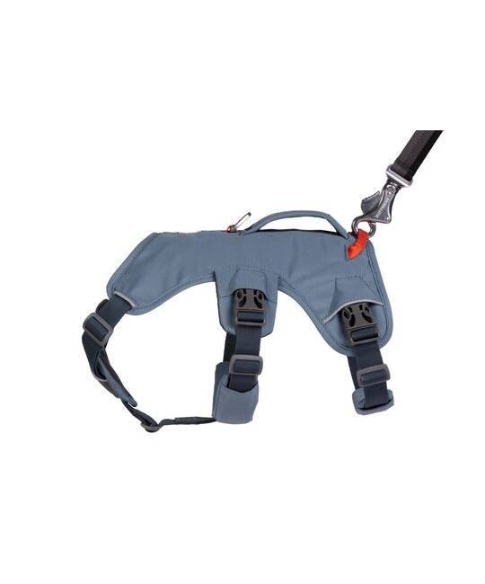 Harnesses