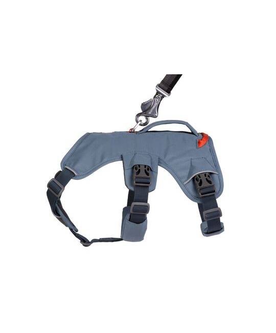 Harnesses