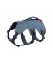 Harnesses