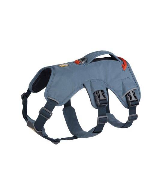 Harnesses