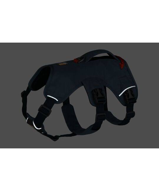 Harnesses
