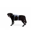 Harnesses