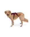 Harnesses