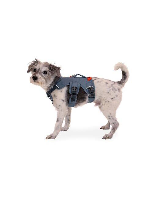 Harnesses